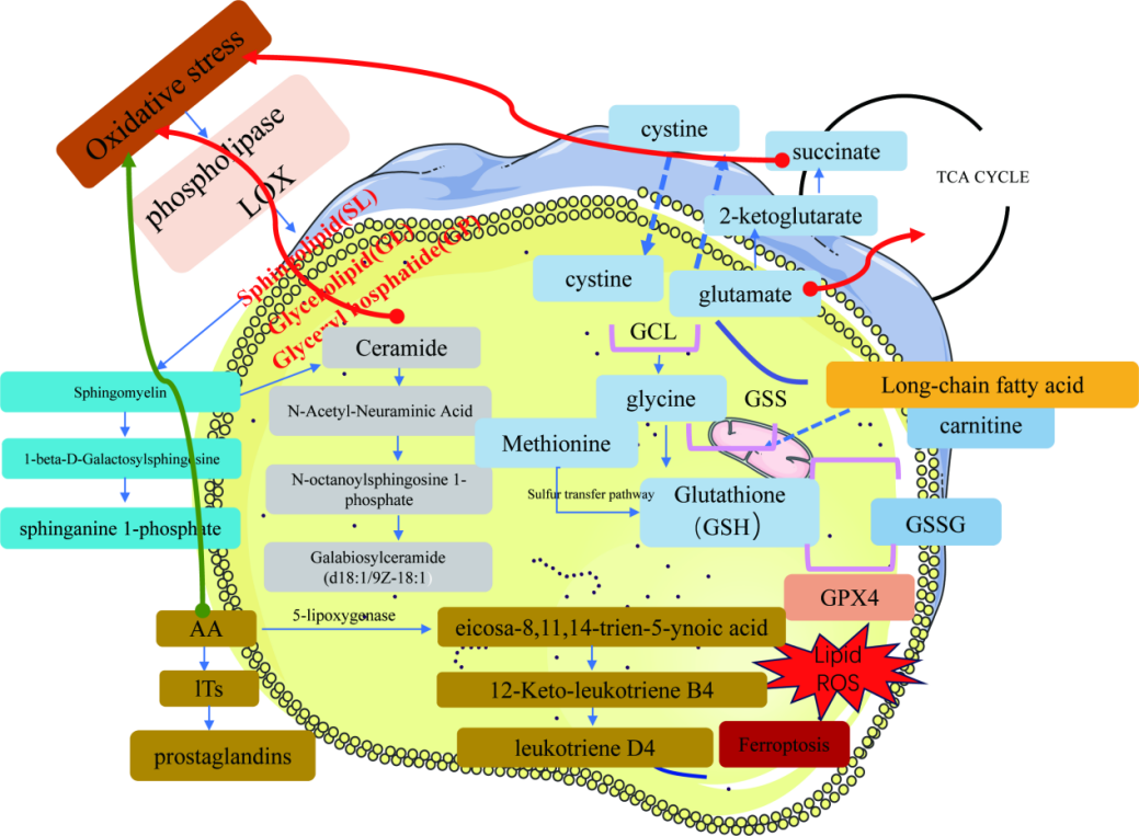 1708997655681761.png 图片 2.png