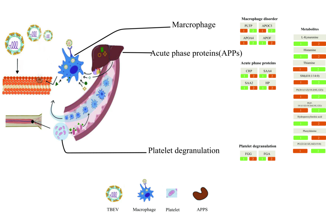 1708997720387896.png 图片 4.png