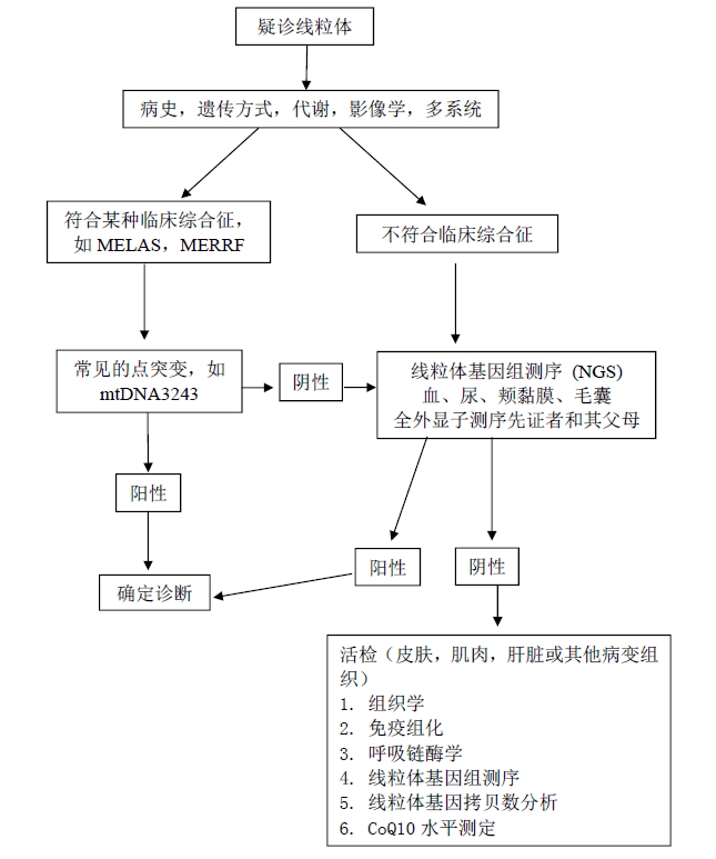 1712890516550005.png ͼƬ 3.png